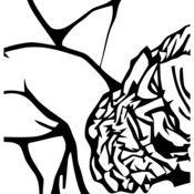 AtlasPreservation's profile picture