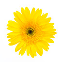 samproducts's profile picture