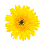 samproducts's profile picture