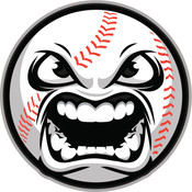 bearssportscards's profile picture
