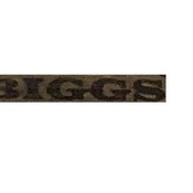 BiggsB1's profile picture