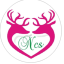 Nonstoptraders's profile picture