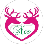Nonstoptraders's profile picture