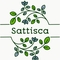 Sattisca's profile picture