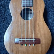 Eco_ukulele's profile picture