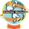 kashat_global's profile picture