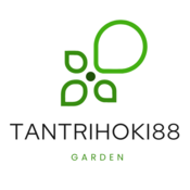 tantrihoki88's profile picture