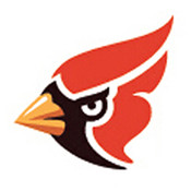 Birdman_Electronics's profile picture