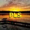 PLS_Estate_Sales's profile picture