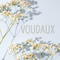 voudaux's profile picture