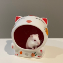 lovedrizzles's profile picture