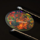 AakarshanOpal's profile picture
