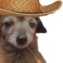 JNatTreasures's profile picture
