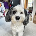 WearMeOutJewelry's profile picture
