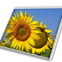 lcdtech889's profile picture