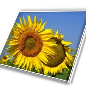 lcdtech889's profile picture