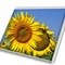 lcdtech889's profile picture