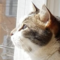 Free_to_Dream's profile picture
