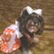 tammterre's profile picture