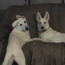 JMom1963's profile picture