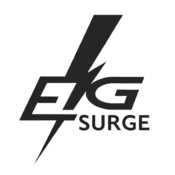 egsurge's profile picture