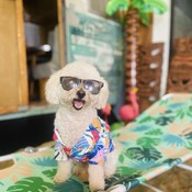 Comics_del_valle's profile picture