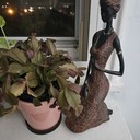 Duchessclosets's profile picture