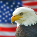 AjB121's profile picture