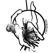 Blinkydoodly's profile picture