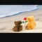 TopazDawning's profile picture