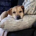 tomdeb08's profile picture