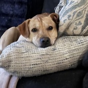 tomdeb08's profile picture