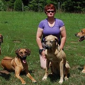 TREK_Hounds's profile picture