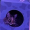 HopeV20's profile picture