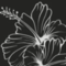 RobynAtLuxArt's profile picture