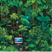 Digital_Rainforest's profile picture