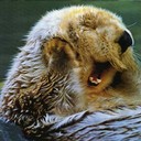 DorothysCloset's profile picture