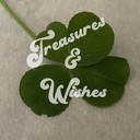 treasuresandwishes's profile picture