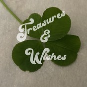treasuresandwishes's profile picture