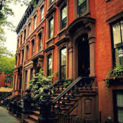 Brownstone_Brooklyn's profile picture