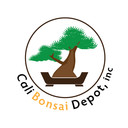 Calibonsai's profile picture