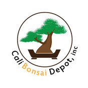 Calibonsai's profile picture