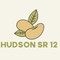 SR12STORE's profile picture