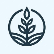 faiz_online's profile picture