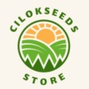 CILOKSEEDS's profile picture