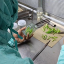 ForestOrganics's profile picture