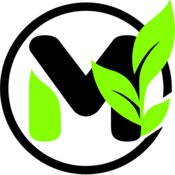 maisfamilyllc's profile picture