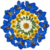 GiftHaven's profile picture