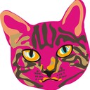papatedy's profile picture