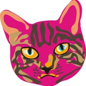 papatedy's profile picture